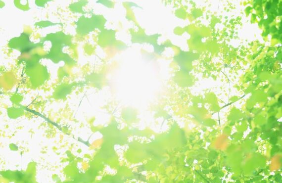 就業不能保険について【ファイナンシャルプランナー】